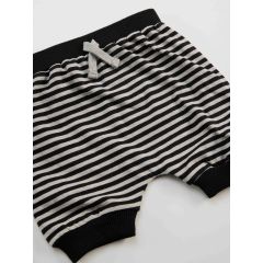 Racoon Baby Boy T-shirt&Harem Pants Set
