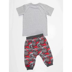 Triceratops Boy T-shirt&Harem Pants Set