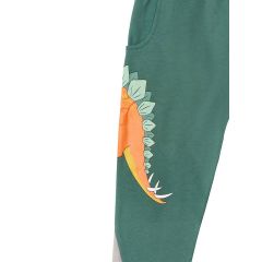 Stegosaurus Boy T-shirt&Pants Set