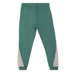 Stegosaurus Boy T-shirt&Pants Set