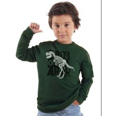 Roar Dino Boy Khaki Sweatshirt