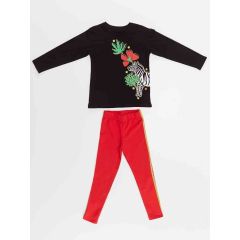 Zebra Girl T-shirt & Leggings Set