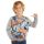 Vehicles Boy Grey Sweatshirt