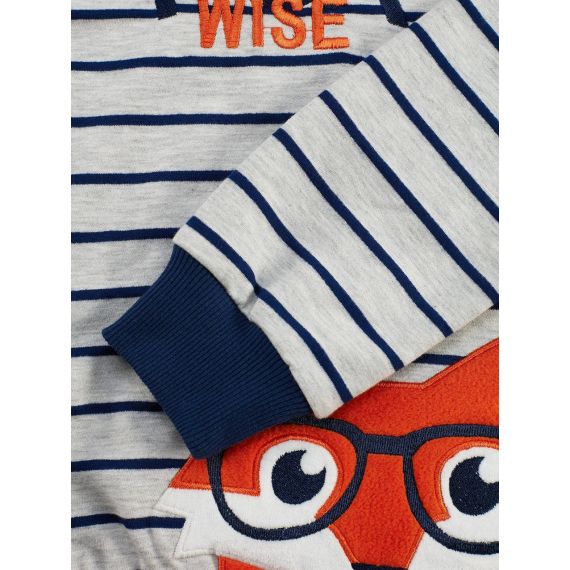 Fox Striped Boy Sweatshirt