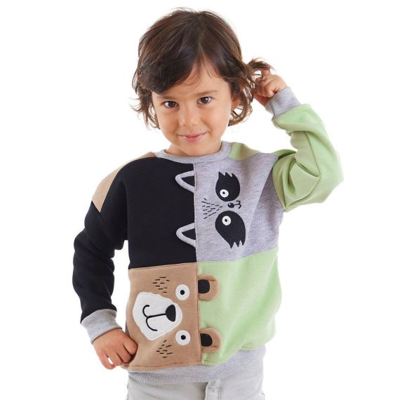 Raccoon&Bear Boy Color Block Sweatshirt