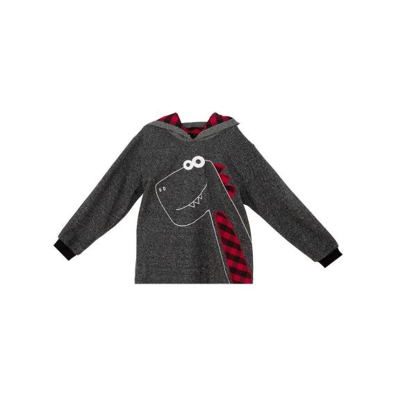 Checked Dino Boy Anthracite Hoodie