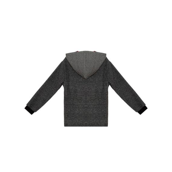 Checked Dino Boy Anthracite Hoodie