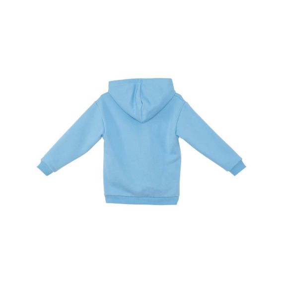 Cool Bear Boy Blue Hoodie